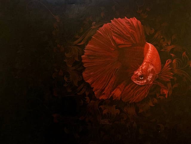 Golden Fish ( 16 )
