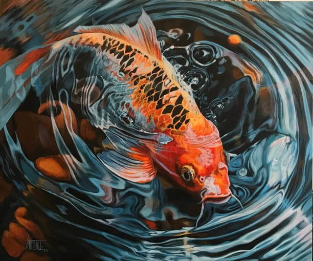 Golden Fish ( 17 )